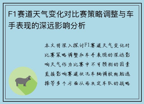 F1赛道天气变化对比赛策略调整与车手表现的深远影响分析 F1赛道天气变化对比赛策略调整与车手表现的深远影响分析